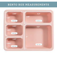 Ripe Peach Silicone Bento Box