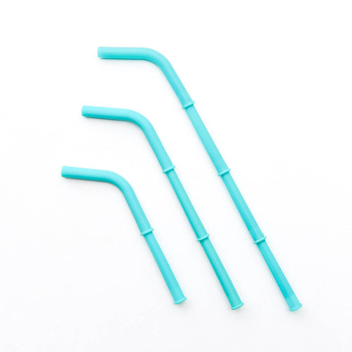 Big Bee, Little Bee Build-A-Straw Reusable Silicone Straws Starter Kit: Sea Turtle Collection